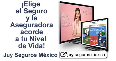Elige el Seguro y la Aseguradora acorde a tu Nivel de Vida Juy Seguros México desde 1980