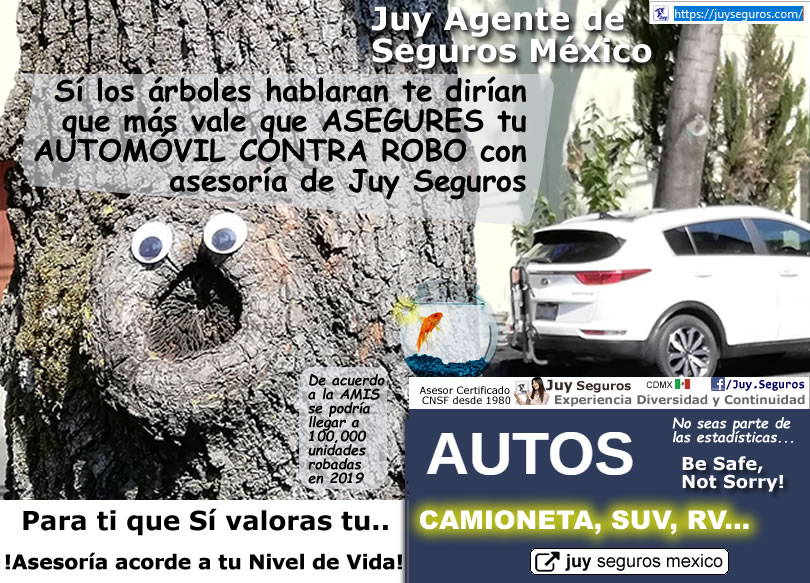 Las cifras de Robo de Autos en México son alarmantes, Asegura tu Automóvil con asesoría de Juy Seguros