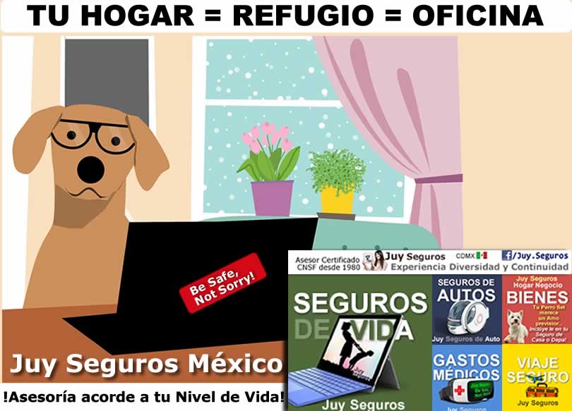 Tu Hogar es tu Refugio, tu oficina y centro rehabilitación covid