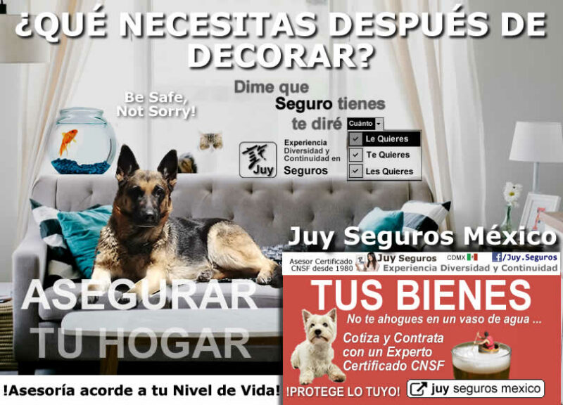 DECORA TU HOGAR CASA O DEPARTAMENTO Y ASEGURALO CON JUY SEGUROS MÉXICO